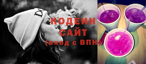 mix Инта