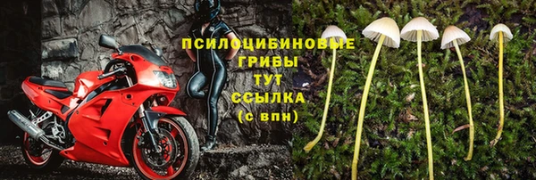 прущая мука Инсар