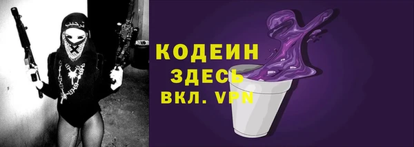 mix Инта