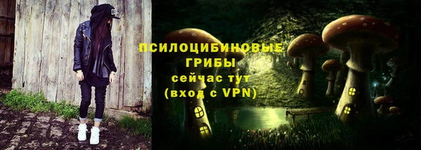 ПСИЛОЦИБИНОВЫЕ ГРИБЫ Касимов
