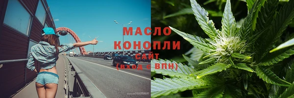 mix Инта
